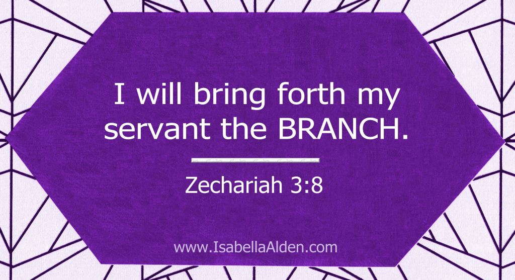 Graphic with Bible verse: I will bring forth my servant the BRANCH. Zechariah 3:8